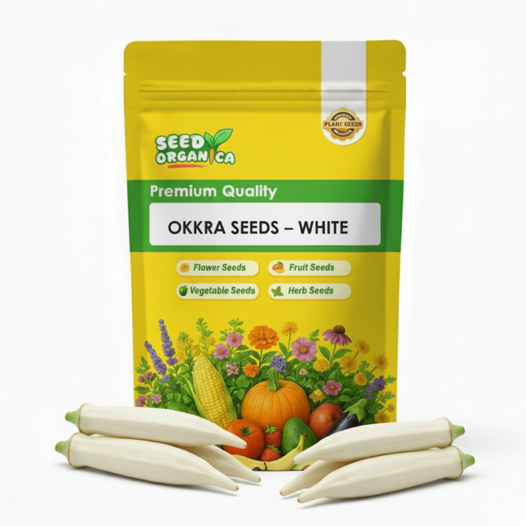 Okra Seeds – White