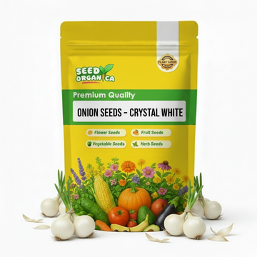 Onion Seeds – Crystal White