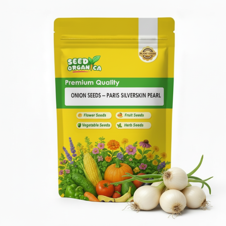 Onion Seeds – Paris Silverskin Pearl