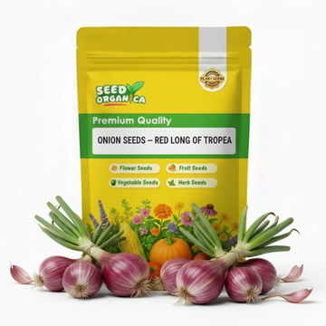 Onion Seeds – Red Long of Tropea