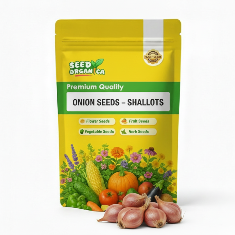 Onion Seeds – Shallots