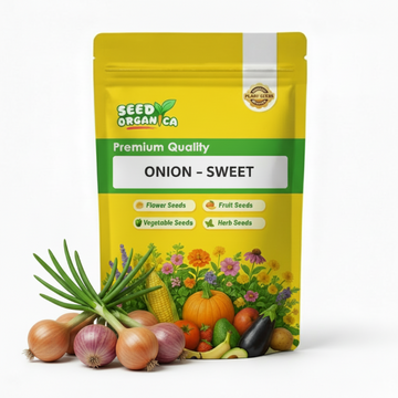 Onion Seeds – Sweet