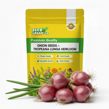 Onion Seeds – Tropeana Lunga Heirloom