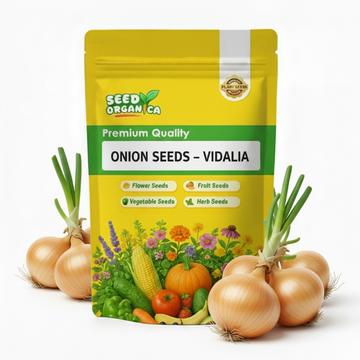Onion Seeds – Vidalia