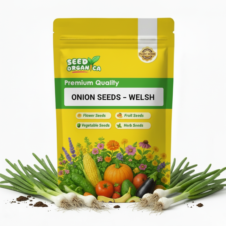 Onion Seeds – Welsh
