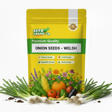 Onion Seeds – Welsh