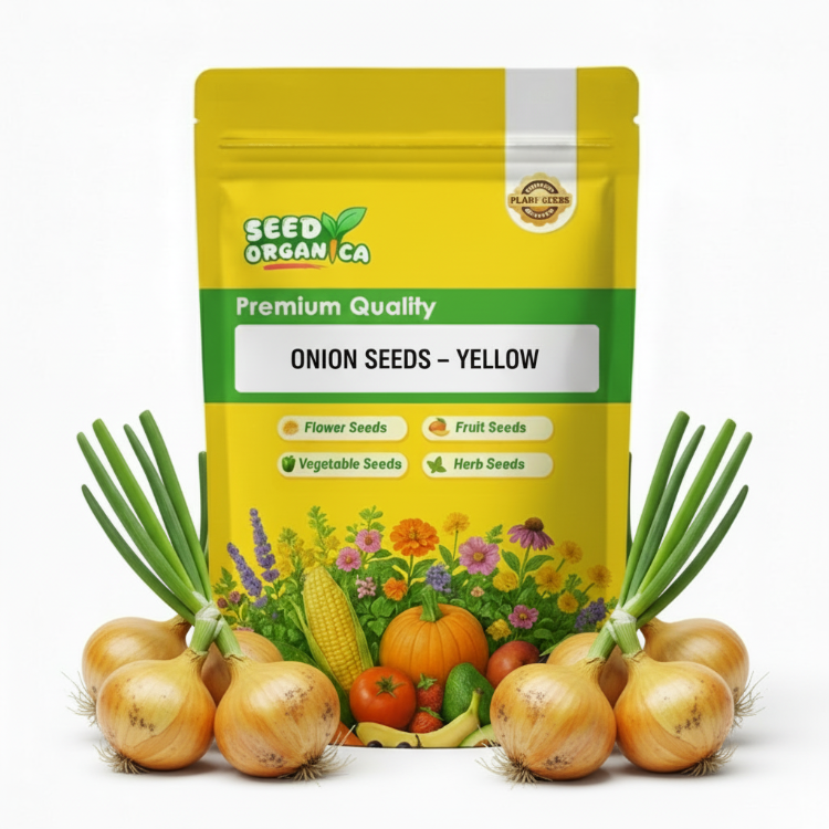 Onion Seeds – Yellow
