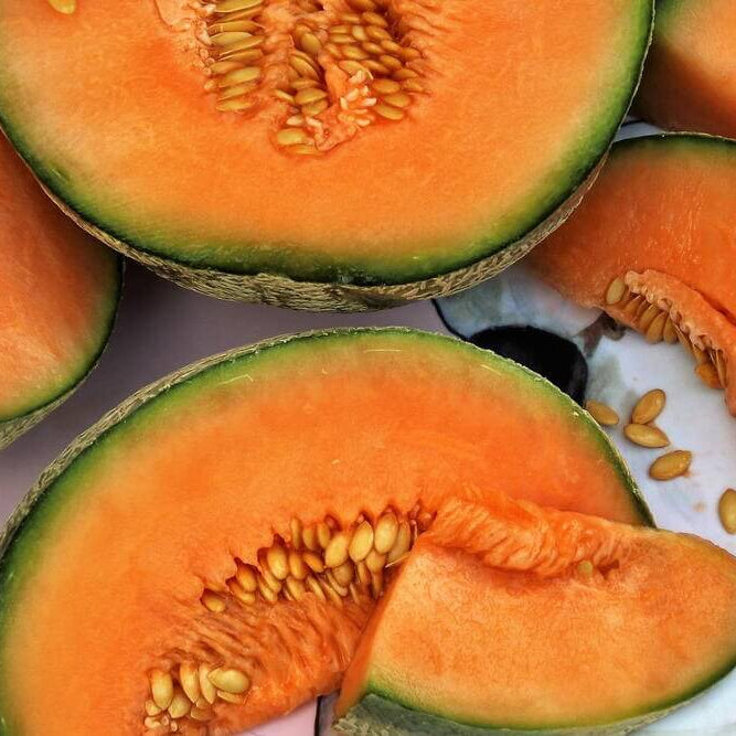 Orange Cantalupo Almizcle Melon Seeds