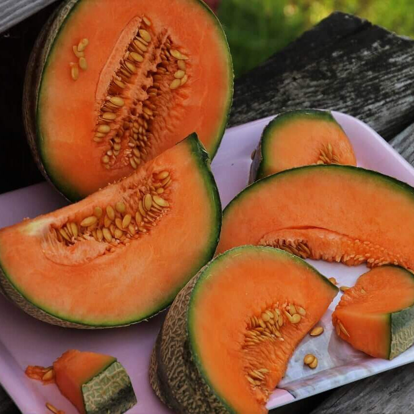 Orange Cantalupo Almizcle Melon Seeds