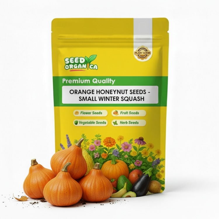 Orange Honeynut Seeds - Small Winter Squash