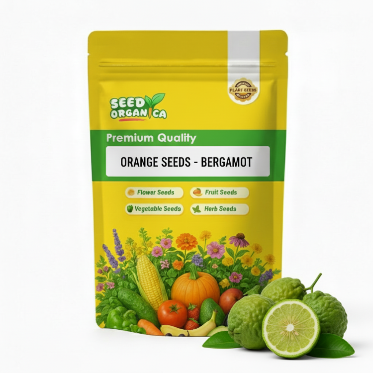 Orange Seeds - Bergamot