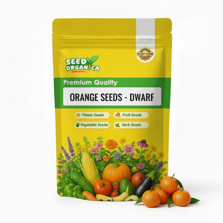 Orange Seeds - Dwarf