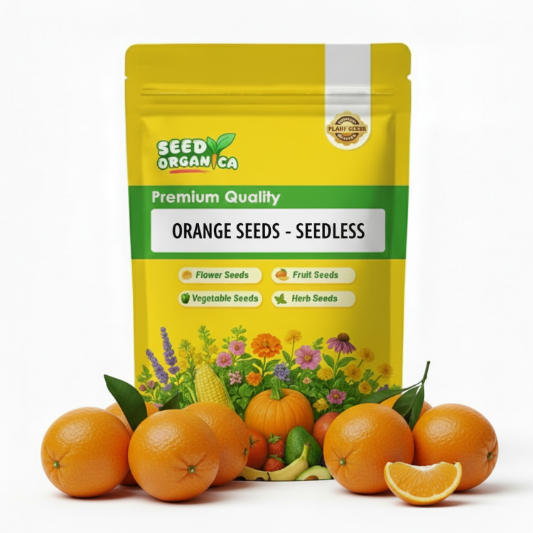 Orange Seeds - Seedless