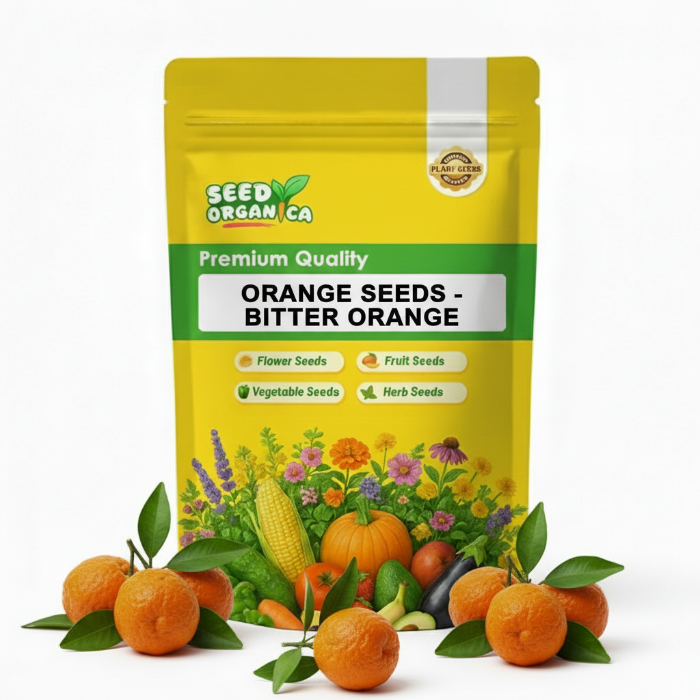 Orange Seeds – Bitter Orange