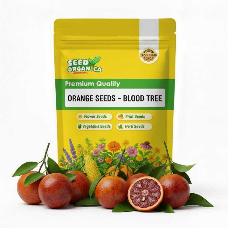 Orange Seeds – Blood Tree