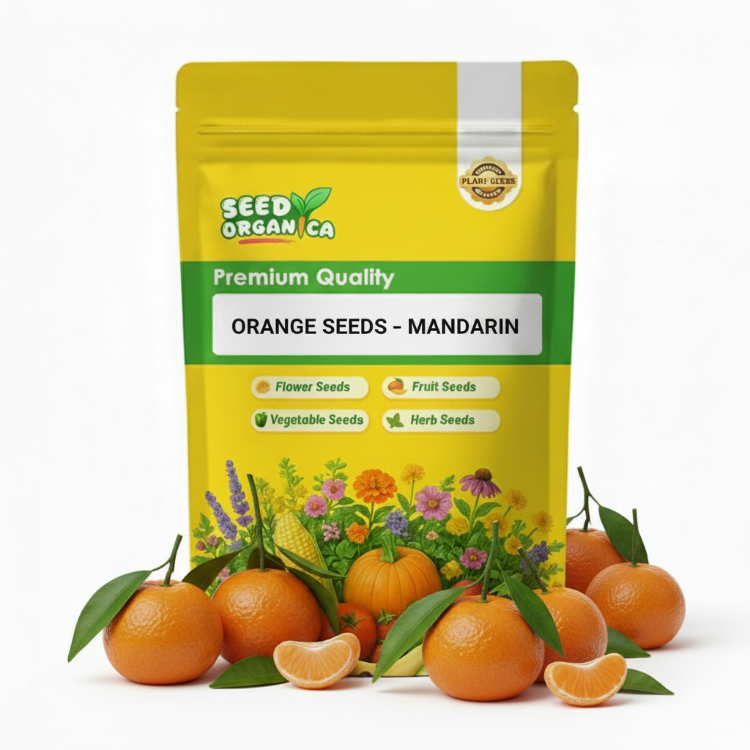 Orange Seeds – Mandarin