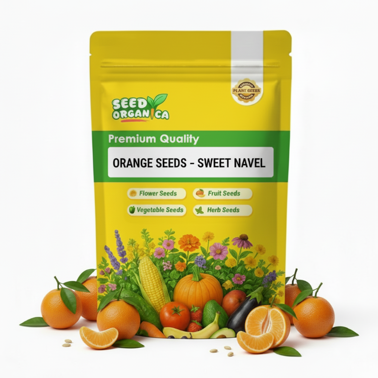 Orange Seeds – Sweet Navel