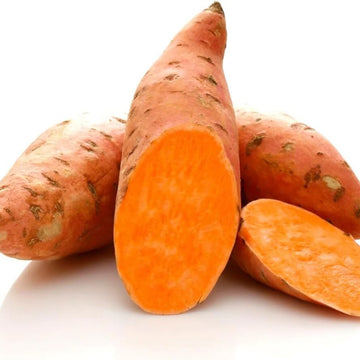 Orange Sweet Potato Seeds - Vegetable Plant