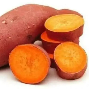 Orange Sweet Potato Seeds - Vegetable Plant