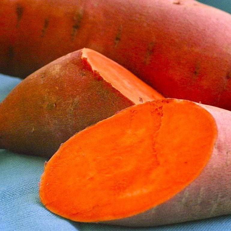 Orange Sweet Potato Seeds - Vegetable Plant