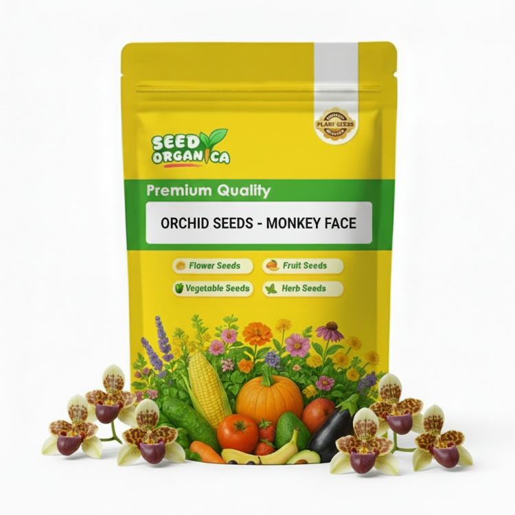 Orchid Seeds - Monkey Face