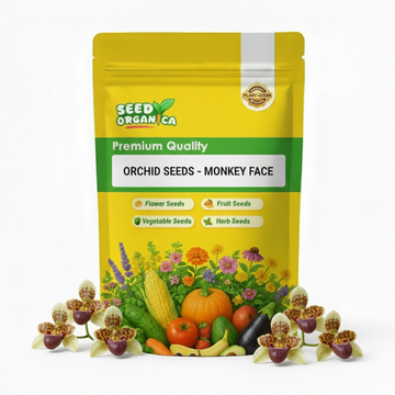 Orchid Seeds - Monkey Face