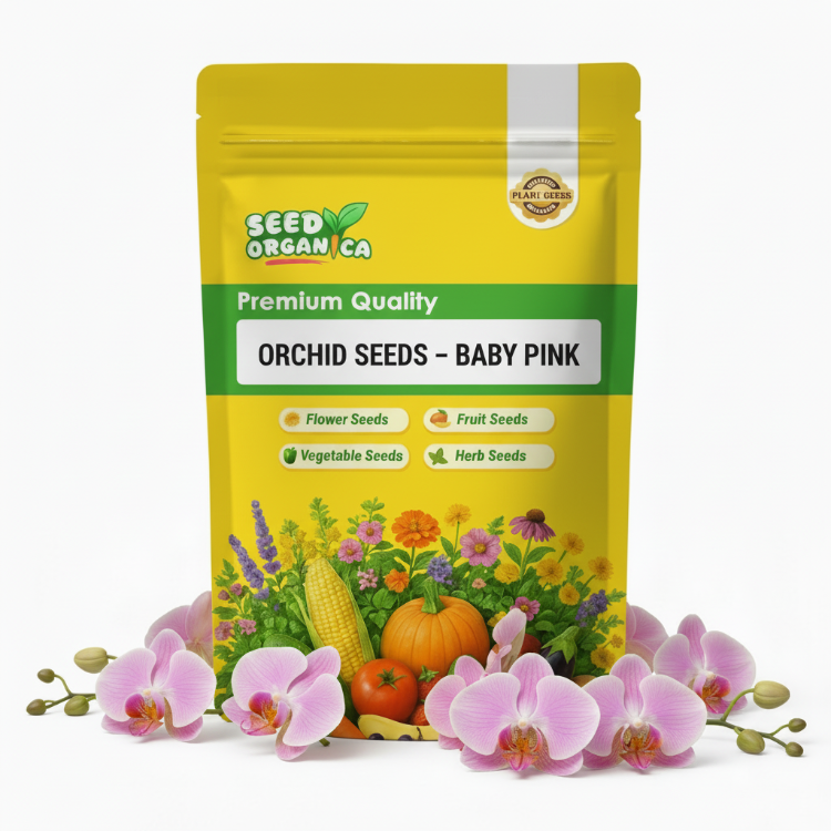 Orchid Seeds – Baby Pink