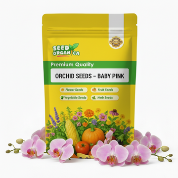 Orchid Seeds – Baby Pink