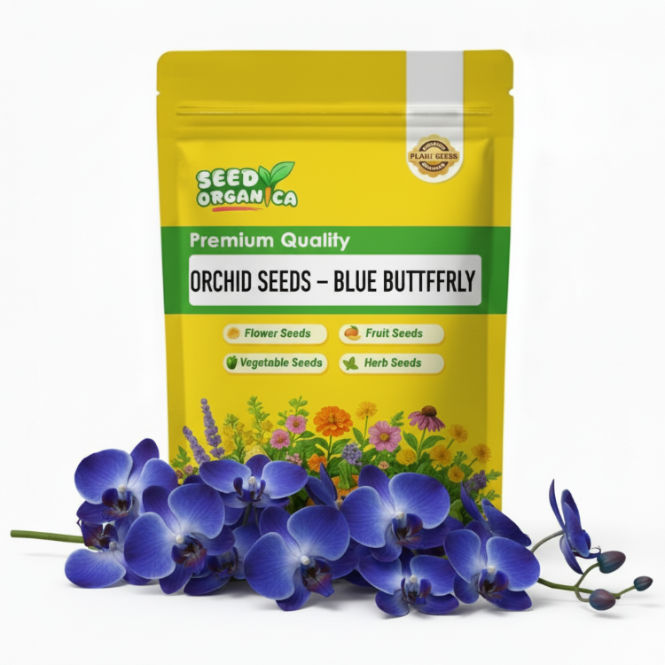 Orchid Seeds – Blue Butterfly