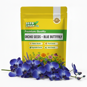 Orchid Seeds – Blue Butterfly