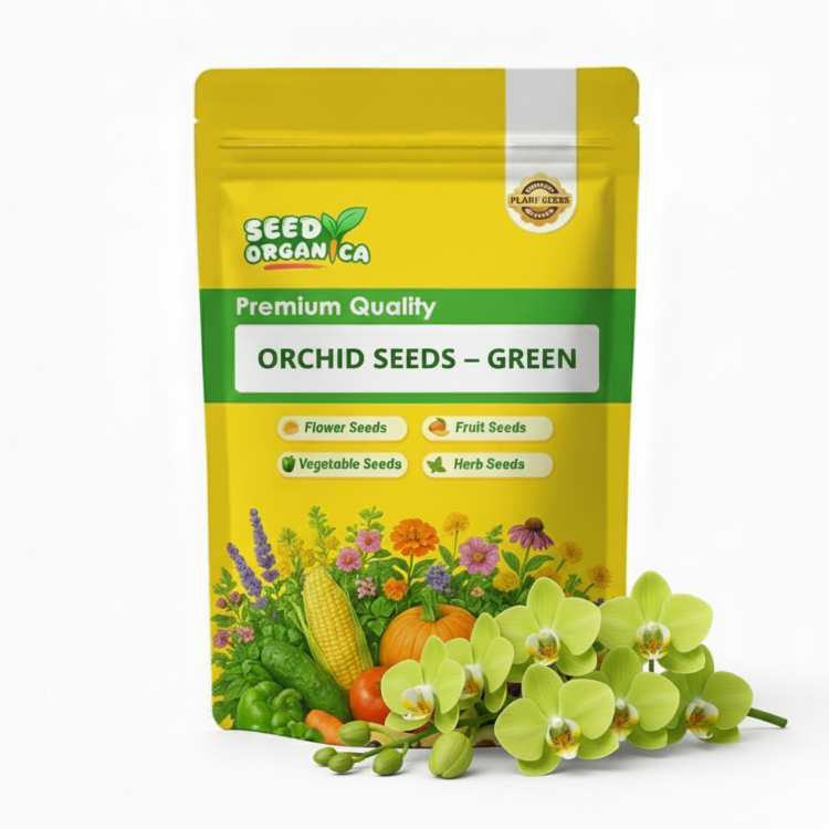 Orchid Seeds – Green