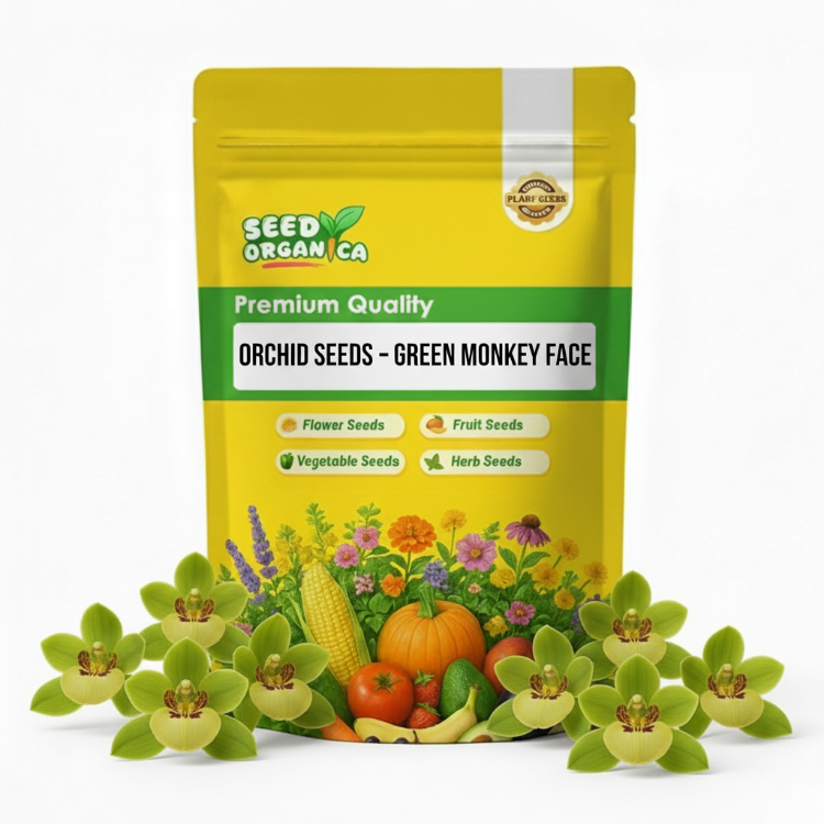 Orchid Seeds – Green Monkey Face
