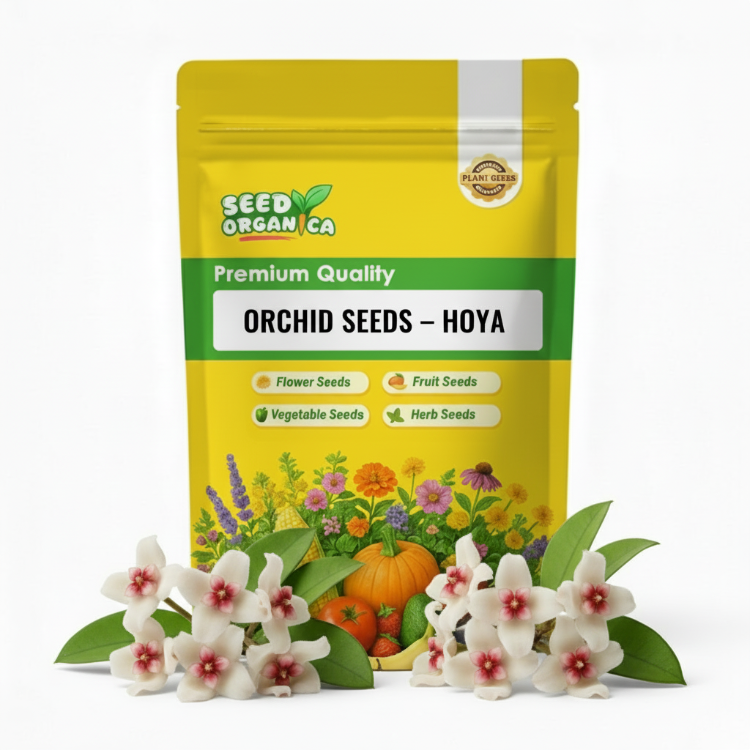 Orchid Seeds – Hoya
