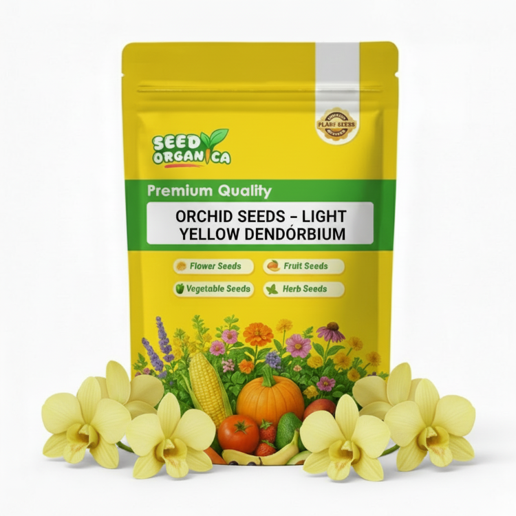 Orchid Seeds – Light Yellow Dendrobium