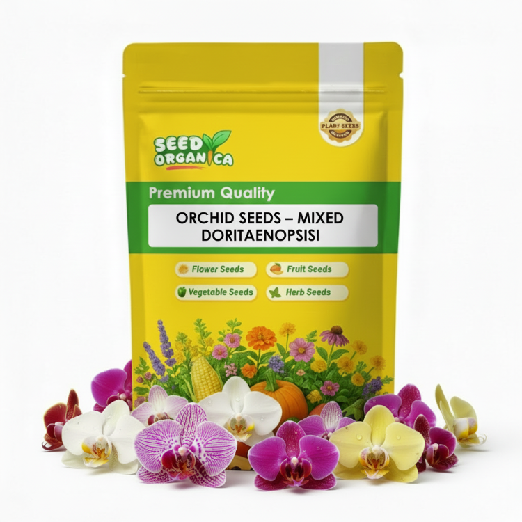 Orchid Seeds – Mixed Doritaenopsis