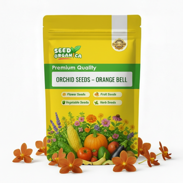 Orchid Seeds – Orange Bell