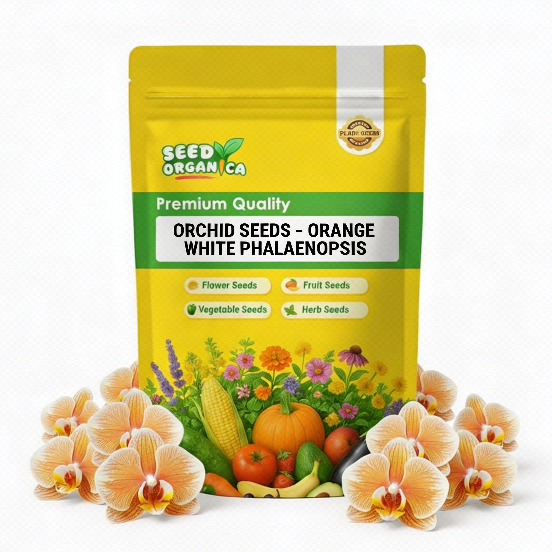 Orchid Seeds – Orange White Phalaenopsis
