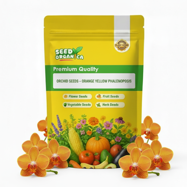 Orchid Seeds – Orange Yellow Phalaenopsis
