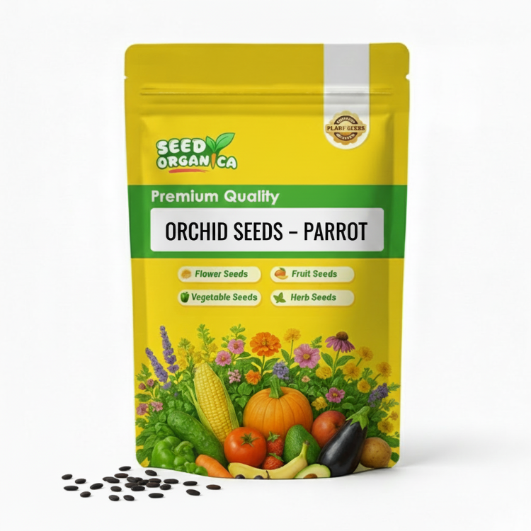 Orchid Seeds – Parrot