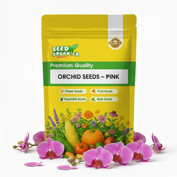 Orchid Seeds – Pink