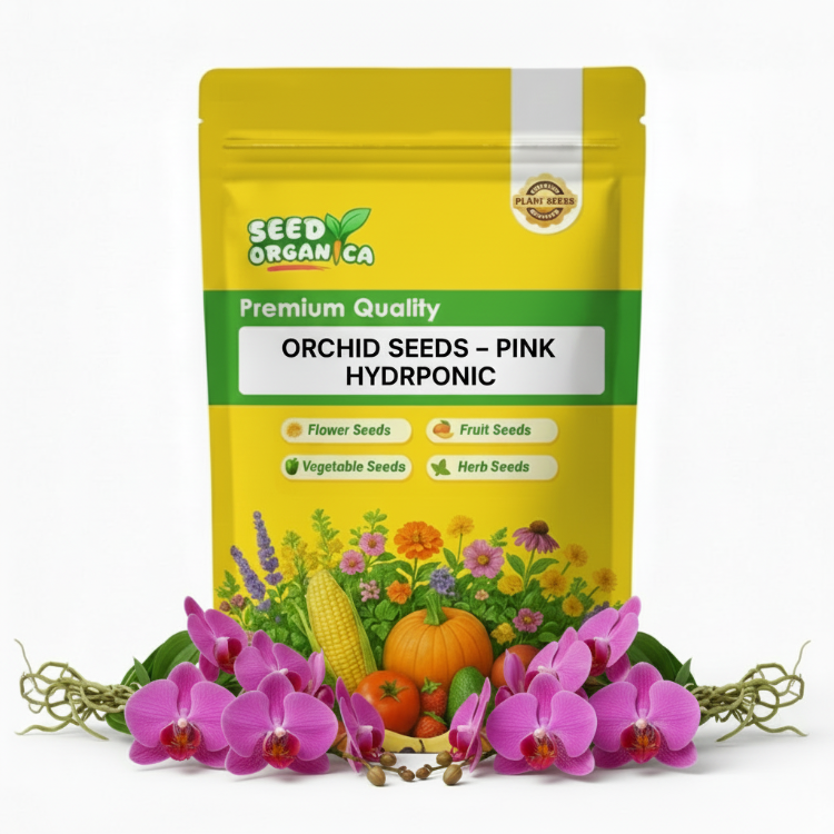 Orchid Seeds – Pink Hydroponic