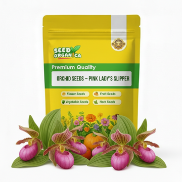 Orchid Seeds – Pink Lady's Slipper