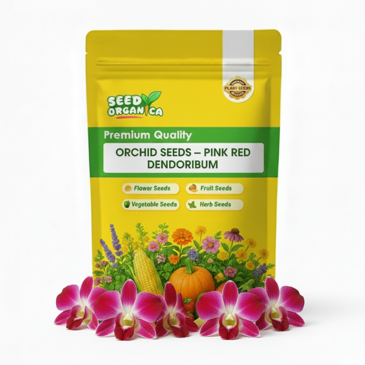 Orchid Seeds – Pink Red Dendrobium