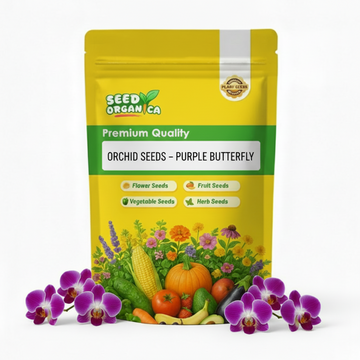 Orchid Seeds – Purple Butterfly