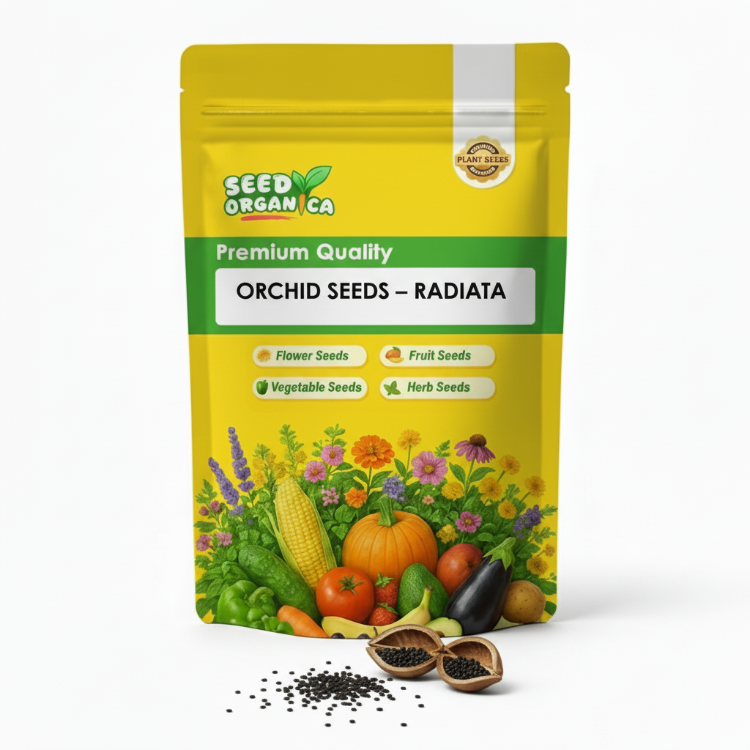 Orchid Seeds – Radiata