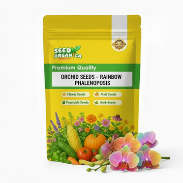 Orchid Seeds – Rainbow Phalaenopsis