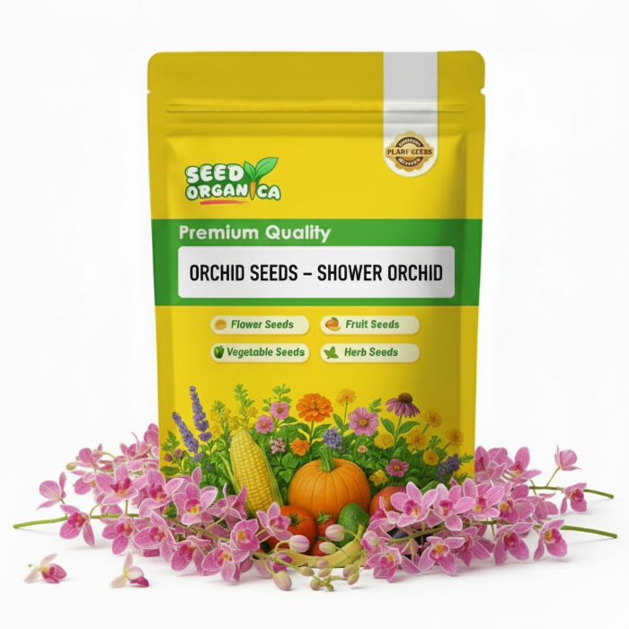 Orchid Seeds – Shower Orchid