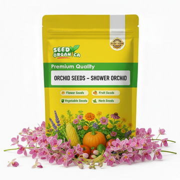 Orchid Seeds – Shower Orchid