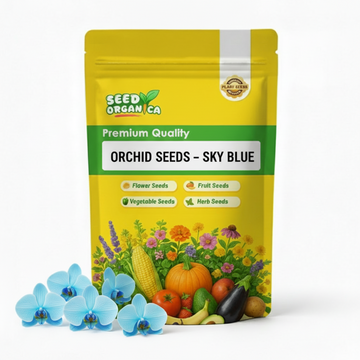 Orchid Seeds – Sky Blue