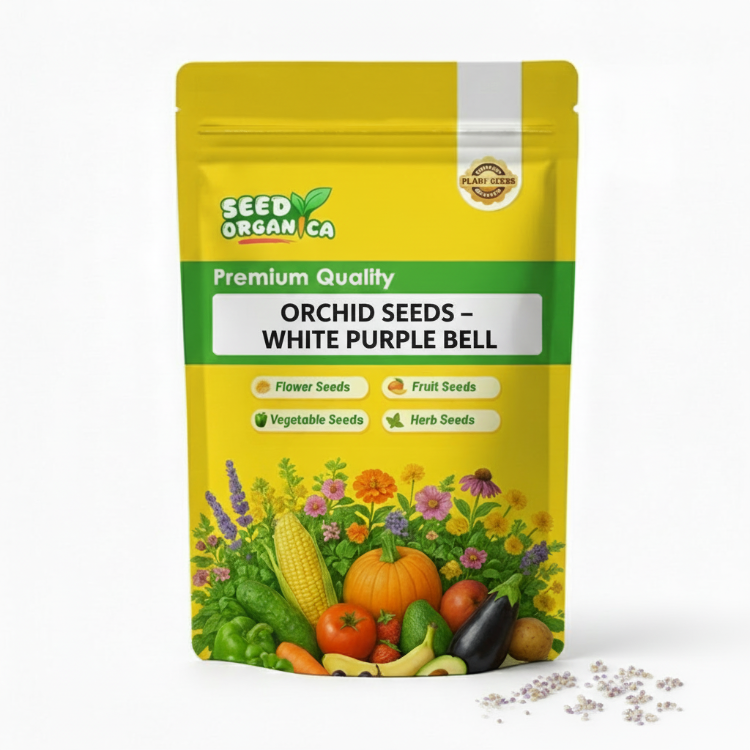 Orchid Seeds – White Purple Bell